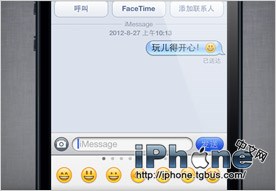 iPhone5说明书 技巧和窍门的使用手册21