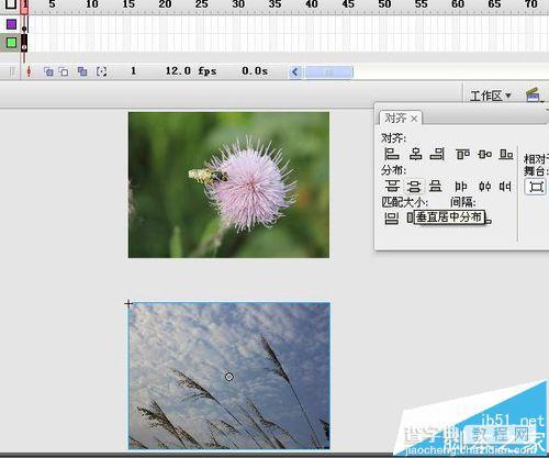 flash怎么制作模糊遮罩效果? flash遮罩动画的制作方法6