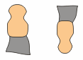 CorelDRAW教程:绘制简笔卡通小马9