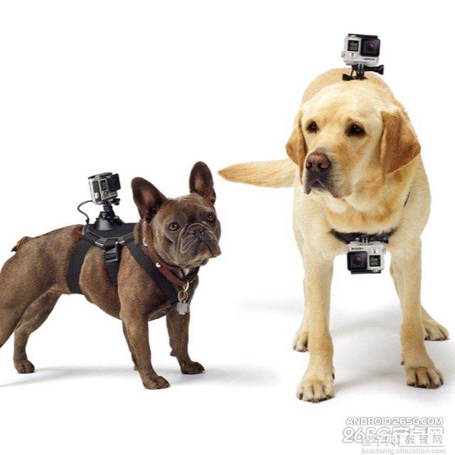 小蚁运动相机配件竟可以和GoPro互换16