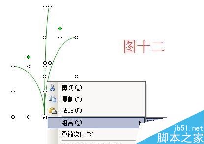 用word绘制一盆漂亮的花卉13