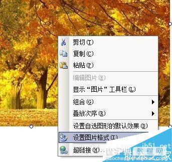 word文档的图片怎么加上漂亮边框?3