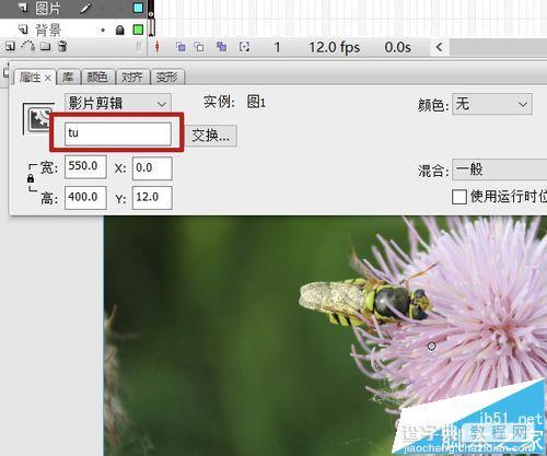 flash怎么制作模糊遮罩效果? flash遮罩动画的制作方法7