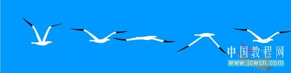 Illustrator 画笔工具绘制海鸥飞翔8