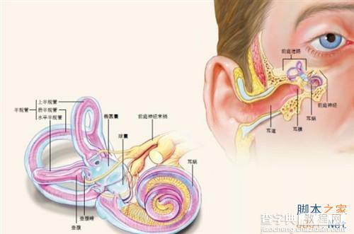 解读：为啥微信里的声音听起来不像你？2