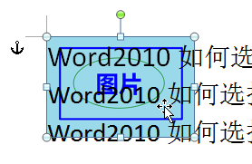 word如何选择和移动添加图片呢?6