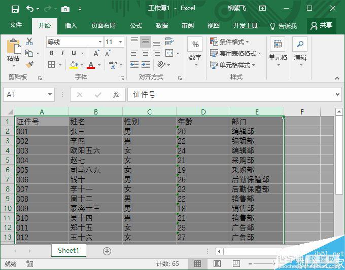 Excel快速调整列宽的技巧介绍2