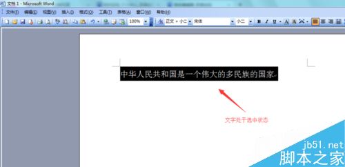 Word2003如何对文字字符进行缩放?3