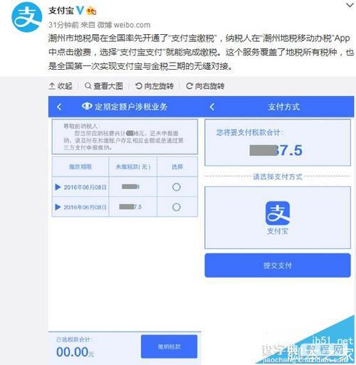 支付宝中怎么缴税? 覆盖了地税所有税种1