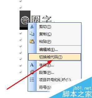 word怎样任意给汉字或者数字加圈?10