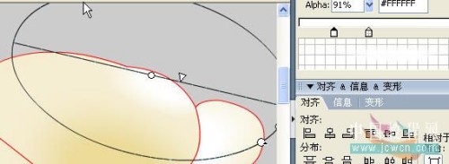 Flash实例：马蹄莲动画制作过程13