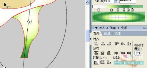 Flash实例：马蹄莲动画制作过程12