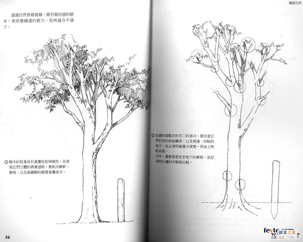 painter制作动画场景入门技巧27