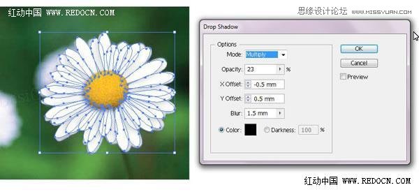 Illustrator绘制漂亮清新的白色雏菊效果图17