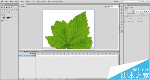 Flash怎么没制作一片树叶飘落动画?8