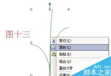 用word绘制一盆漂亮的花卉14