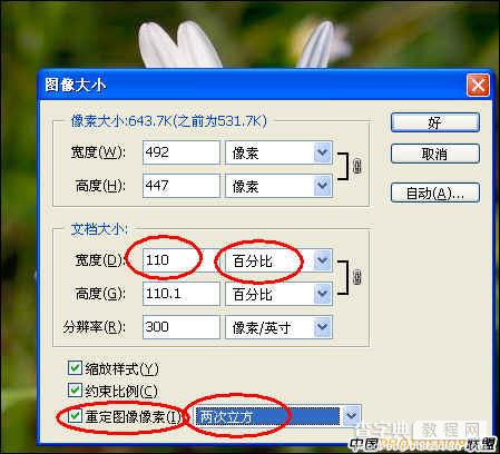 Photoshop 图片高质量放大技巧2