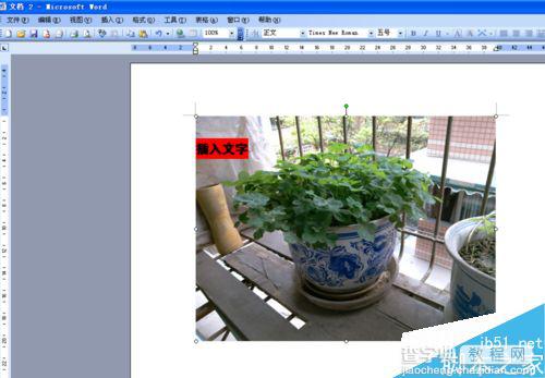 word文档怎么在图片上写字呢?6