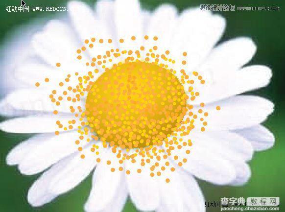 Illustrator绘制漂亮清新的白色雏菊效果图8