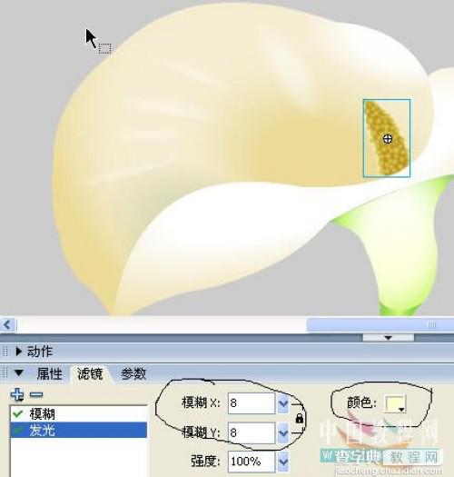 Flash实例：马蹄莲动画制作过程19