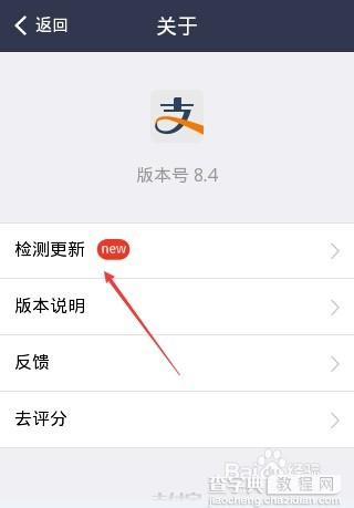 支付宝怎么查看版本？支付宝钱包检查更新并升级的方法4