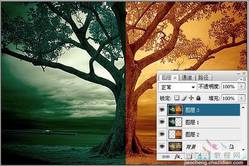 Photoshop调色：树木照片的冷暖色调13