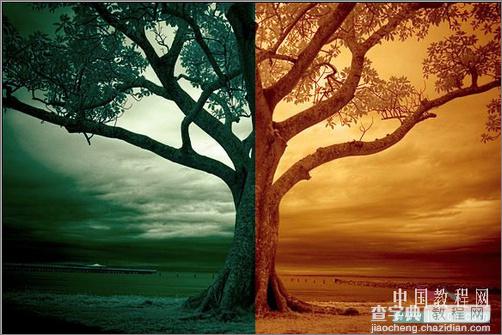 Photoshop调色：树木照片的冷暖色调12