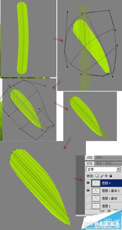 ps怎么使用矢量细节描绘的方法画微距小草?3