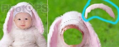 Photoshop打造一个小兔子乖乖照片2