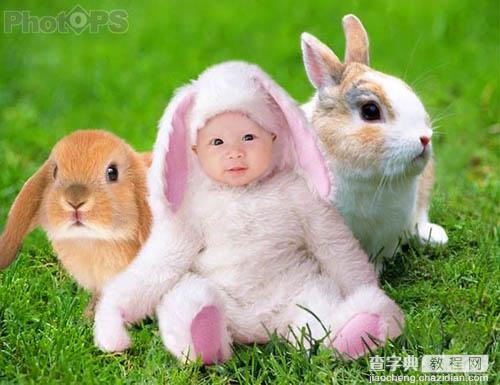 Photoshop打造一个小兔子乖乖照片7