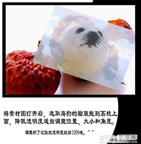 Photoshop照片合成：海豹脸型的荔枝4