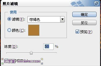 photoshop利用画笔及描边路径制作出漂亮的金色树叶字24