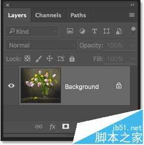 Photoshop CC油画滤镜实例教程讲解3