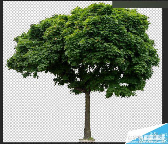 Photoshop制作超创意的岩石绿树艺术字教程15