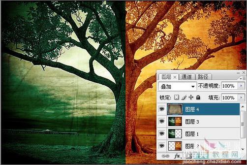 Photoshop调色：树木照片的冷暖色调14