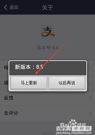 支付宝怎么查看版本？支付宝钱包检查更新并升级的方法5