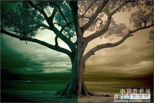 Photoshop调色：树木照片的冷暖色调9
