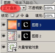 photoshop 结合IA制作漂亮的花纹立体字20