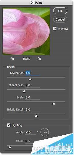 Photoshop CC油画滤镜实例教程讲解8