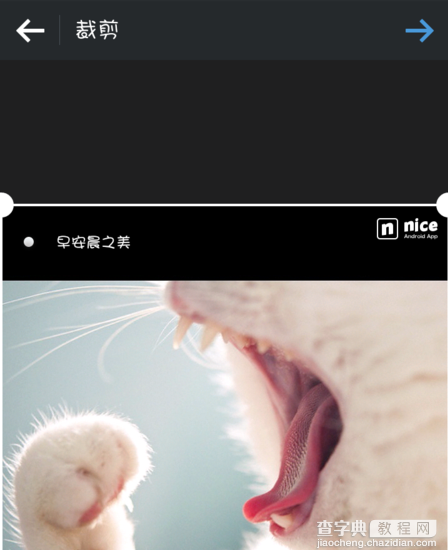 nice怎么保存图片？nice软件图片保存教程3