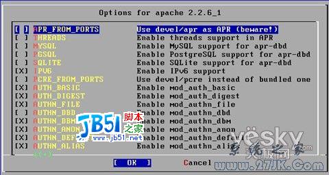 FreeBSD 6.2架设网站服务器教程图解2