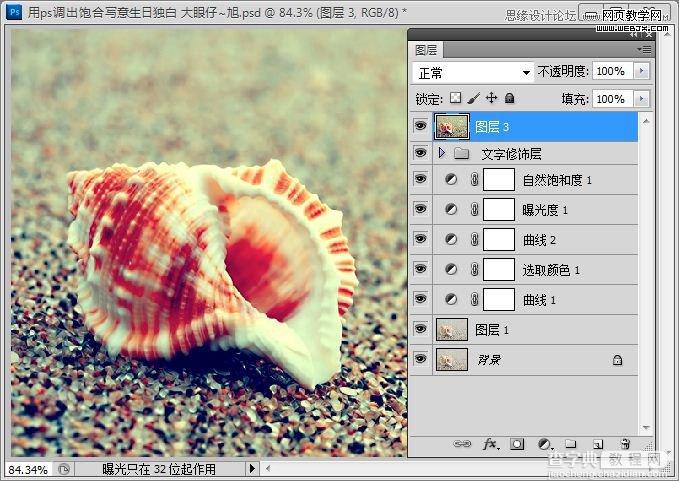 Photoshop制作出低调的沙滩海螺图片的写意效果教程18