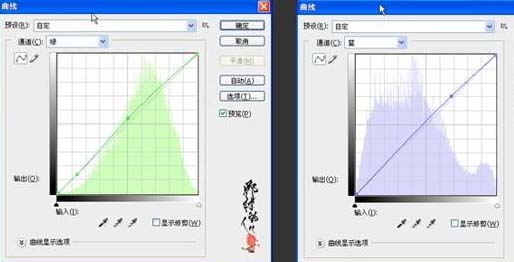 photoshop 打造梦幻的绿色外景婚片8