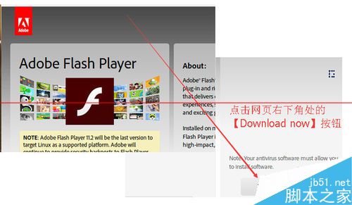 ubuntu14.10怎么下载并安装adobe flash？4