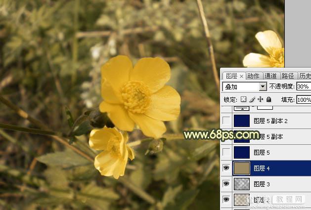 Photoshop将花朵图片调成强对比的暗黄色5