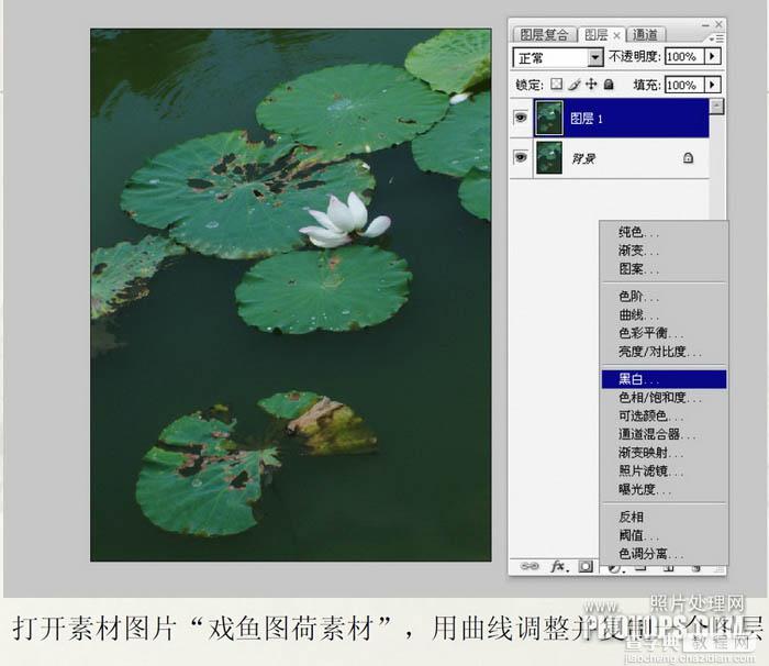 Photoshop将普通的荷叶图转成经典水墨画效果3