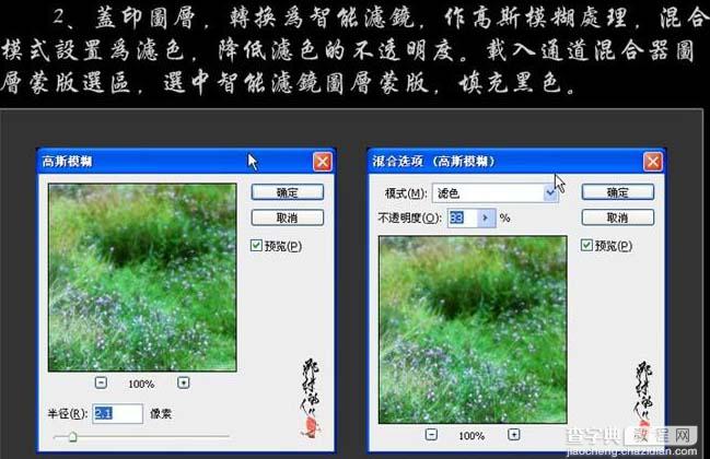 photoshop 打造梦幻的绿色外景婚片5