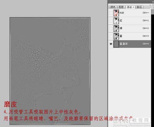 Photoshop 广告头像磨皮及调色7