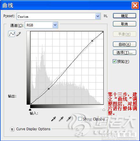 Photoshop调出模特照片大气强对比的黄褐色33