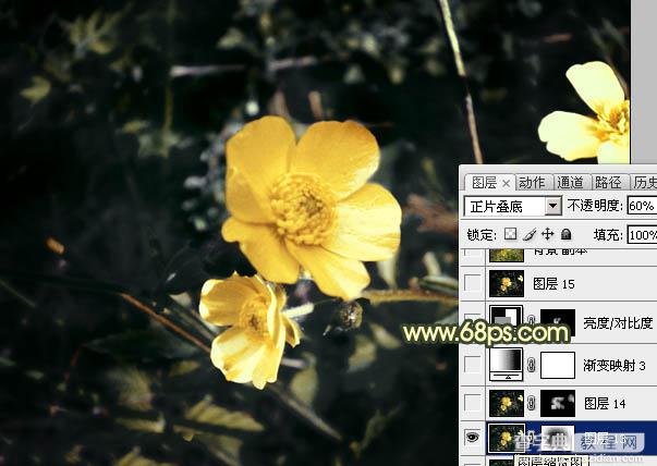 Photoshop将花朵图片调成强对比的暗黄色27